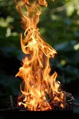 Fire flame texture on the green blurred background