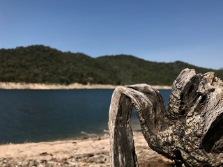 Fototapeta premium Naturaleza 