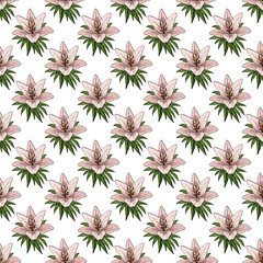 Seamless pattern with colorful bouquets of lilies and buds. Endless texture. Vector background with lilies and floral elements for your design.