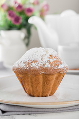 Morning breakfast. Tasty muffin sprinkled with icing sugar on a plate.