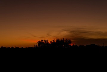 Fototapeta premium Atardecer marcando siluetas