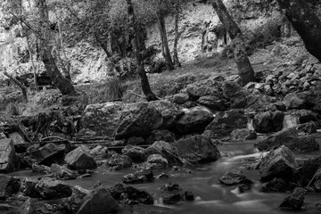 La piedra junto al río
