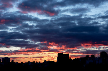 Fototapeta premium Despues de la lluvia