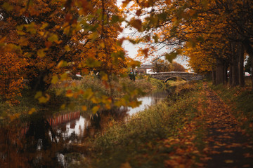Path the river with autumn colors and yellow trees