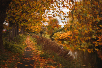 Path the river with autumn colors and yellow trees