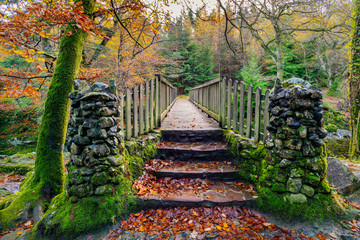 Two stone pillars and steps of old wooden bridge with mossy rocks in Tollymore Forest Park in...