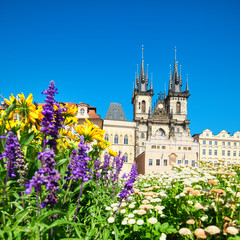 Travel background, Summer image of yellow and purple Summer flowers in front of Church of Our Lady before Tyn in Prague on a bright day with blue sky