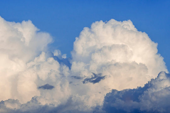 Developping Cumulus congestus cloud also known as towering cumulus clouds