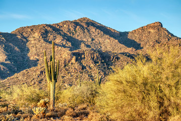 White Tank Mountain State Park Near Phoenix Arizona