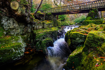 Cascades under wooden bridge on mountain stream, with mossy rocks in Tollymore Forest Park in autumn, Newcastle, County Down, Northern Ireland