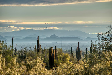 White Tank Mountain State Park Near Phoenix Arizona
