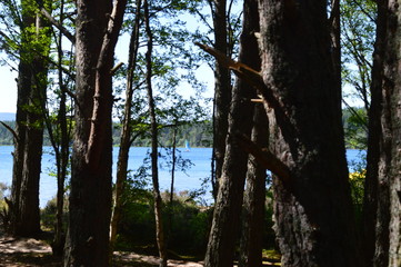 Loch Morlich and Aviemore