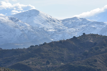Andalusian landscape one winter morning with Mediterranean mountain and snowy peaks in the background