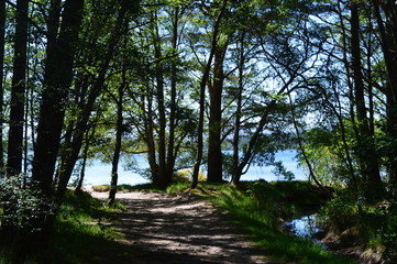 Loch Morlich and Aviemore