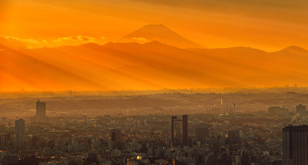 Fototapeta premium 東京夕景