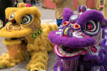Performer dressed in traditional lion and dragon costume celebrating Chinese New Year