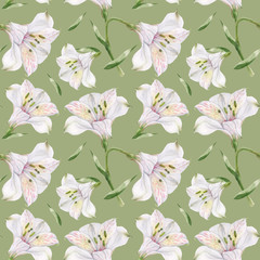 Watercolor alstroemeria light green seamless pattern