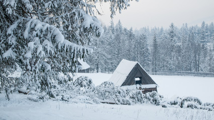 Beautiful white winter in mountains