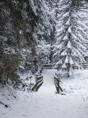 Beautiful white winter in mountains