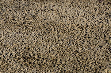 Texturas de arenas