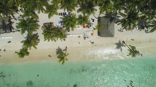 Aerial view of tropical beach with coconut palm trees and beautiful coastline