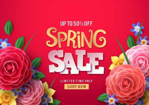 Spring sale vector banner. Spring sale text with colorful camellia flowers and crocus flower in red background for spring seasonal promotion. Vector illustration.