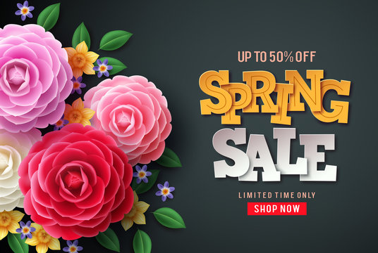 Spring sale vector flowers background. Spring sale text, colorful camellia flowers and crocus flowers in back background for spring seasonal promotion.