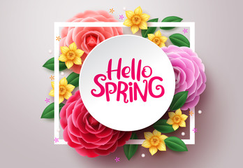 Spring flower vector background. Hello spring text in white frame space and colorful camellia and crocus flowers in white background. Vector illustration. © AmazeinDesign
