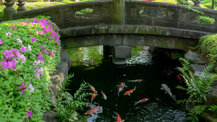 a bridge and koi pond at sensoji temple in tokyo