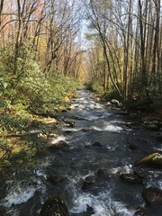 Fototapeta premium river stream