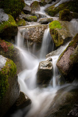 Fototapeta na wymiar Rainforest Creek in the Winter. Water cascading down the side of a mountain in a rain forest environment. A long exposure makes the water appear silky and adds to the motion effect. 