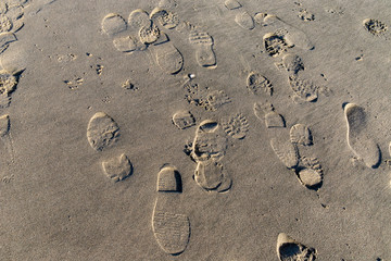 Fototapeta na wymiar Footsteps in the sand on the beach in Holland