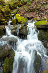 Fototapeta na wymiar Tennessee Waterfall2