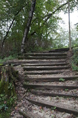 stairs in the forest