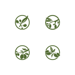 Olive logo template vector icon illustration design