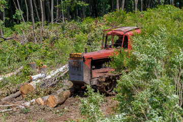 Deforestation for the construction of a casino. A red bulldozer clears a building site from felled trees.