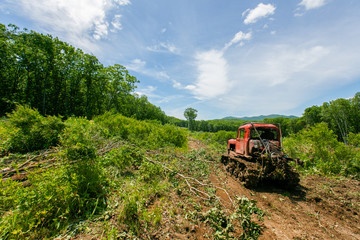 Deforestation for the construction of a casino. A red bulldozer clears a building site from felled trees.