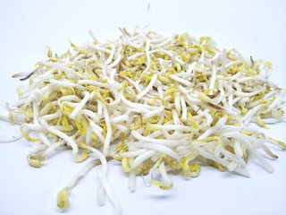 Hand hold fresh Bean kecambah sprout or tauge or toge or taoge from mung beans. Common in Eastern Asian cuisine, made from sprouting beans. Deep of field pile of bean sprouts pattern isolated white 