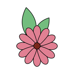 cute flower natural with leafs isolated icon