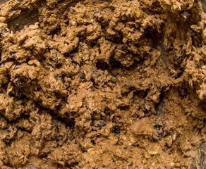 Fresh Batch of Oatmeal Raisin Cookie Dough