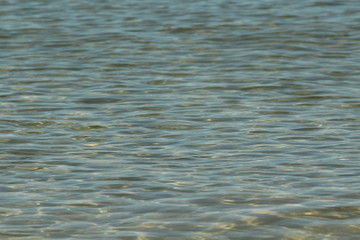 ripples on surface of water