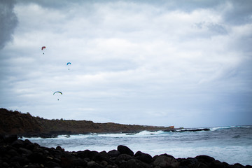 Paragliders