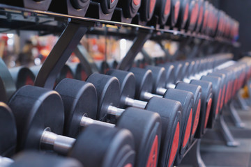 Set of dumbbell for exercise and strength training. sport, fitness, health, lifestyle and people concept