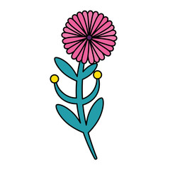 cute flower with branch and leafs isolated icon