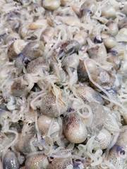 A pile of small squid