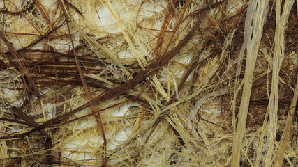 和紙のテクスチャー素材