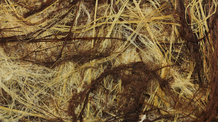 和紙のテクスチャー素材