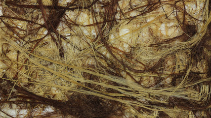 和紙のテクスチャー素材