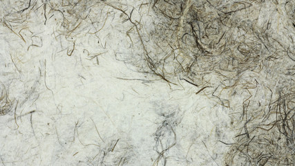 和紙のテクスチャー素材