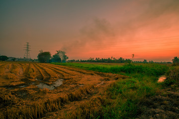 Blurred twilight evening background on rice paddies, with high voltage electricity towers passing through, cool and fresh air while traveling